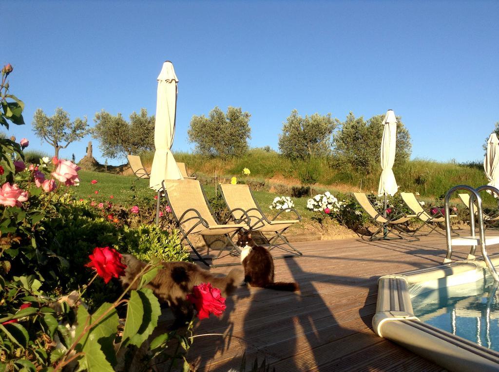 Agriturismo Podere La Marronaia ซานจีมิญญาโน ภายนอก รูปภาพ