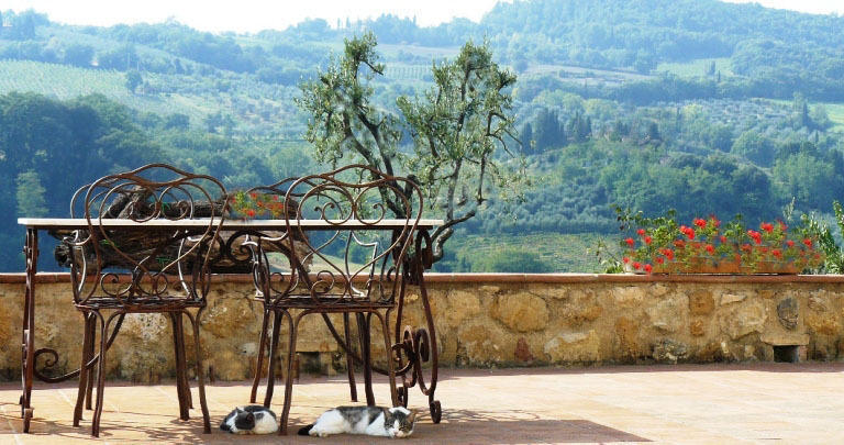 Agriturismo Podere La Marronaia ซานจีมิญญาโน ภายนอก รูปภาพ