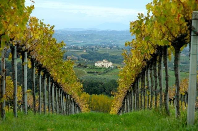 Agriturismo Podere La Marronaia ซานจีมิญญาโน ภายนอก รูปภาพ